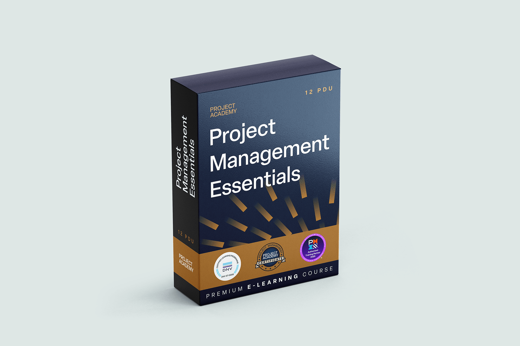 Project Academy - Image 2